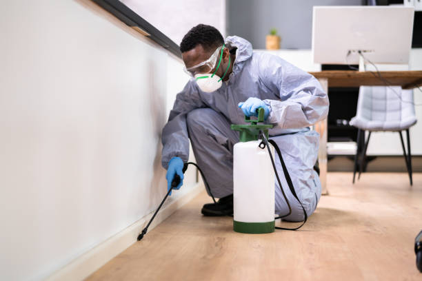 Best Indoor Pest Control  in Minneola, FL